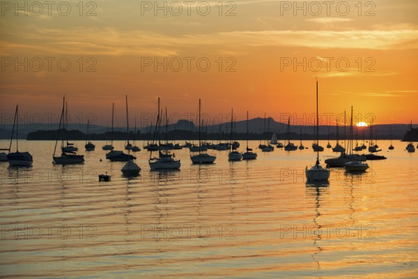 Sailboats, sunset, Allensbach, Untersee, Lake Constance, Baden-Württemberg, Germany