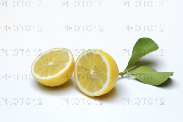 Lemon with leaf, cut in half, Citrus x limon