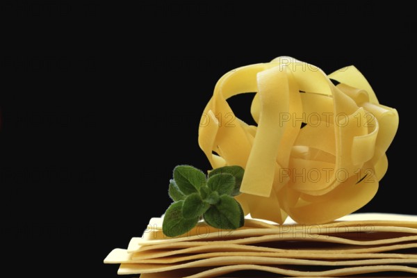 Uncooked lasagna leaves and fettuccine, noodle nest