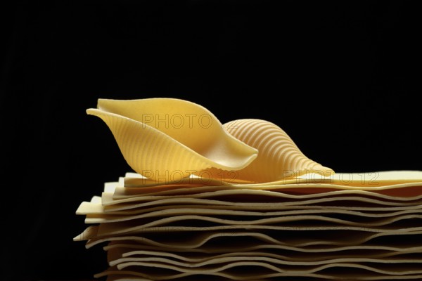 Uncooked lasagna leaves and mussel noodles, conchiglione