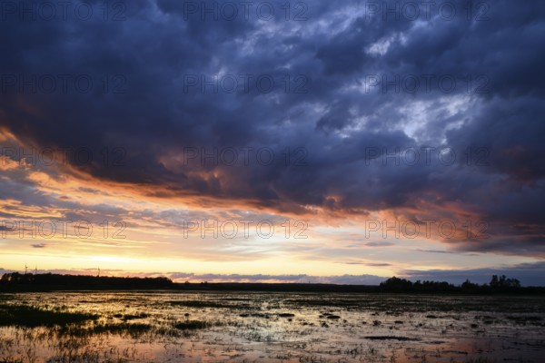 Dramatic sunset over flooded wetlands with wind turbines in the background and bright shades of orange in the sky, Dümmer nature park Park, Lower Saxony, Germany