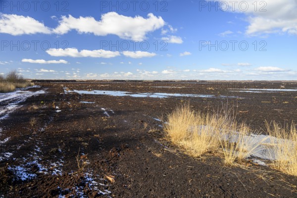 Peated hoochmoor black peat in cloudy skies with earthy colors and natural texture, Diepholzer Moorniederung, Drebber, Lower Saxony, Germany