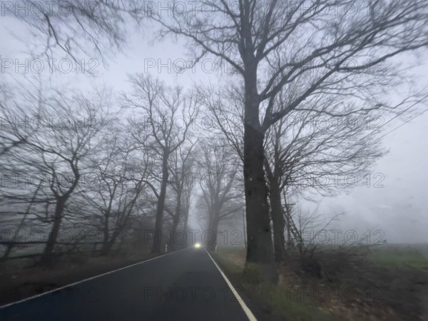 Driver's perspective view of foggy, foggy country road with trees next to the road in thick fog in winter, Germany