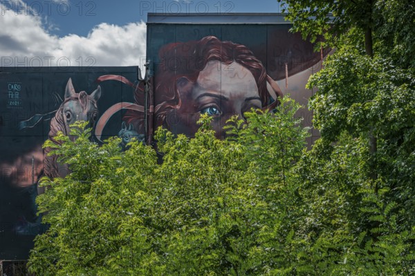 Graffiti on the former US eavesdropping facility on Teufelsberg in Grunewald, Berlin, Germany