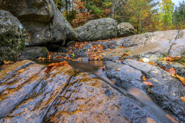 River Bode flows over smooth-cut rocks with autumn colors, autumn colors in the Bodetal nature reserve in the Harz National Park, Königskrug, Braunlage, Lower Saxony, Germany