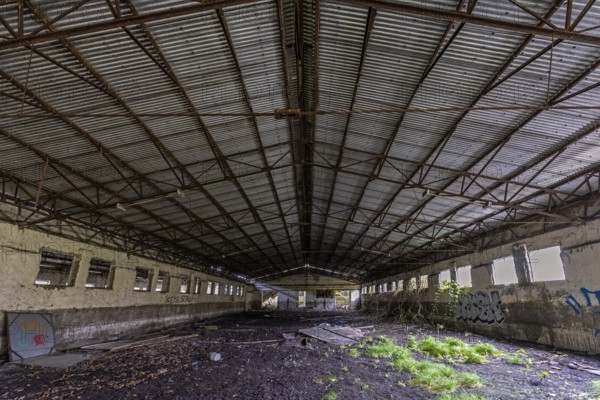 Abandoned hall with Grafity, dilapidated plant of a former agricultural production cooperative of the former GDR, LPG, Lost Place, Müggenburg, Fischland-Darß-Zingst, Western Pomerania National Park, Mecklenburg-Western Pomerania, Germany