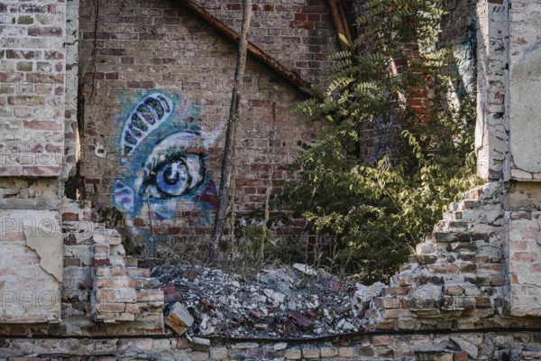 Ruins of the Women's Sanatorium, Lost Place, Heilstätten Beelitz, Brandenburg
