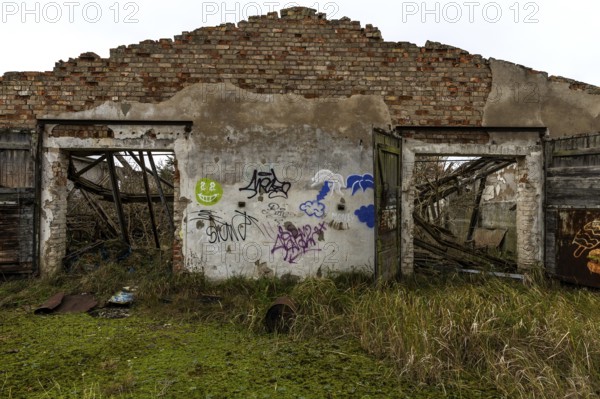 Dilapidated hall with gravity of the dilapidated plant of a former agricultural production cooperative of the former GDR, LPG, Lost Place, Müggenburg, Fischland-Darß-Zingst, Western Pomerania National Park, Mecklenburg-Western Pomerania, Germany