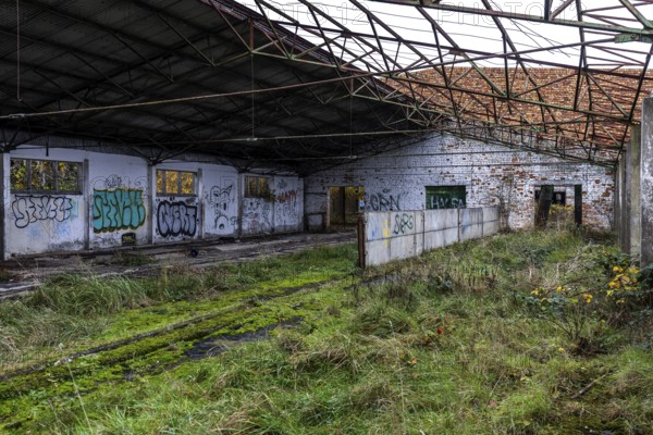 Former hall, dilapidated plant of a former agricultural production cooperative of the former GDR, LPG, Lost Place, Müggenburg, Fischland-Darss-Zingst, Western Pomerania Lagoon Area National Park, Mecklenburg-Western Pomerania, Germany