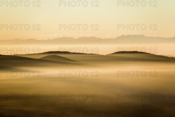 View from Belchen heading south of Wiesental and the Swiss Alps, morning atmosphere with fog in autumn, sunrise, Belchen, Black Forest, Southern Black Forest, Baden-Württemberg, Germany