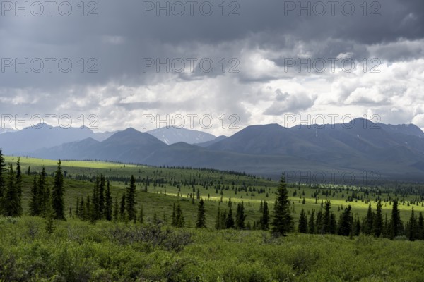 Taiga and tundra, mountain landscape of the Alaska Range with dramatic cloudy sky, Denali National Park, Alaska, USA