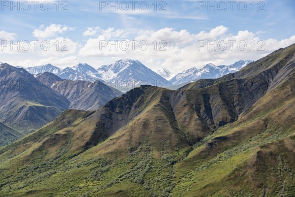 Tundra and mountainous landscape of the Alaska Range, Sable Pass, Denali National Park and Preserve, Alaska, USA
