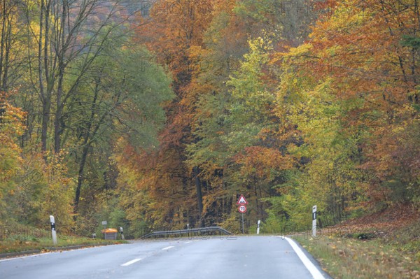Federal road surrounded by mixed autumn forest, Gräfenberg, Upper Franconia, Bavaria, Germany