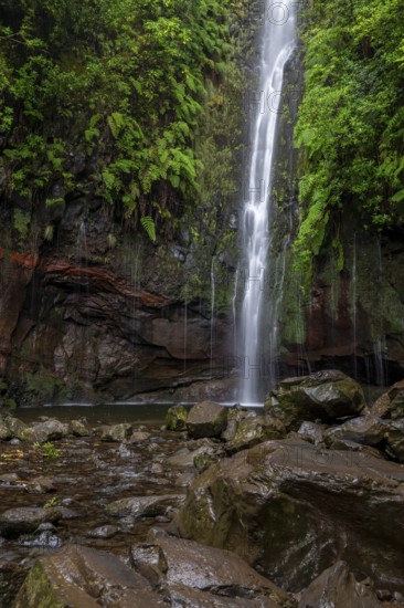 Cascata das 25 Fontes river and waterfall, 25 springs, hiking trail PR6, Levada das 25 Fontes, laurel forest, Rabacal Nature Reserve, Madeira, Portugal