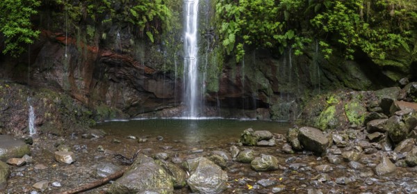 Cascata das 25 Fontes river and waterfall, 25 springs, hiking trail PR6, Levada das 25 Fontes, laurel forest, Rabacal Nature Reserve, Madeira, Portugal
