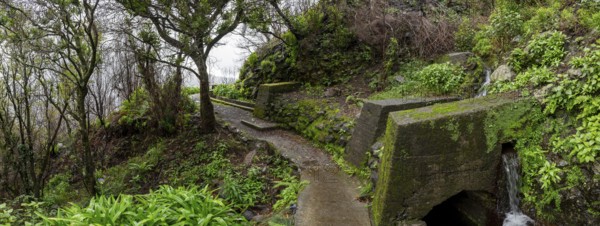 PR17 Pinaculo e Folhadal hiking trail, Levada, Irrigation Canal, Madeira, Portugal