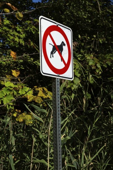 Posted white, red and black pictogram sign warning that dogs are not allowed or forbidden in public park, Quebec, Canada