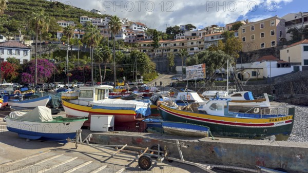 Camera de Lobos fishing village, harbour with fishing boats, Madeira, Portugal