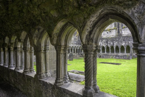 Cloister in the ruins of Sligo Abbey (Dominican) founded 1253, Sligo, County Sligo, Ireland
