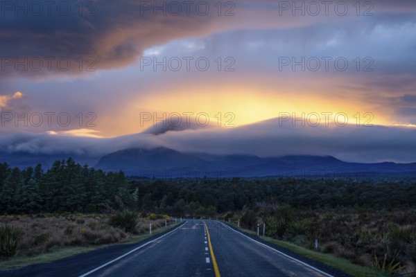 Mount Ngauruhoe in the morning at sunrise with glowing clouds, road SH 47. Tongariro National Park, North Island, New Zealand