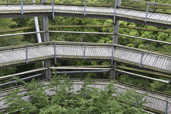 Treetop Trail on Rügen, Natural Heritage Center, Mechlenburg-Vorpommern, Germany