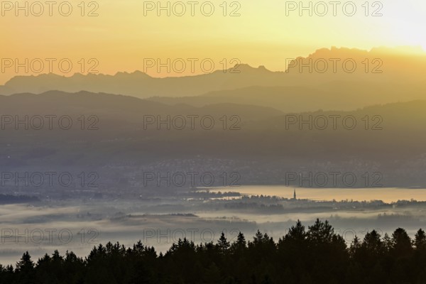 View from Horben of Lake Zug with the city of Cham and Zug covered in fog, behind it the snow-capped mountains Flübrig and Vrenelisgärtli in the light of the rising sun, Beinwil-Freiamt, Canton, Aargau, Switzerland