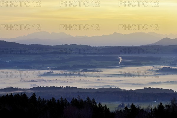 View from Horben of the Reuss Valley covered in fog, behind it the Alpstein with the Säntis in the light of the rising sun, Beinwil-Freiamt, Canton, Aargau, Switzerland