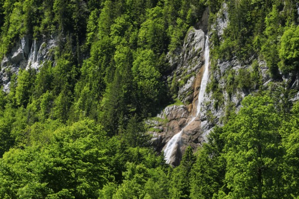 Sulzbachfall, Klöntal, Kantom Glarus, Switzerland