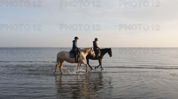 Two female riders ride their horses through the shallow water of the Baltic Sea at sunrise, Scharbeutz, 29.11.2025, Scharbeutz, Schleswig-Holstein, Germany