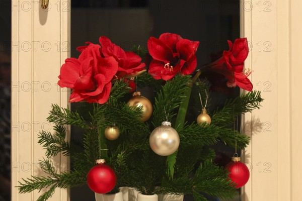 Christmas bouquet with Christmas tree balls and amaryllis, Germany