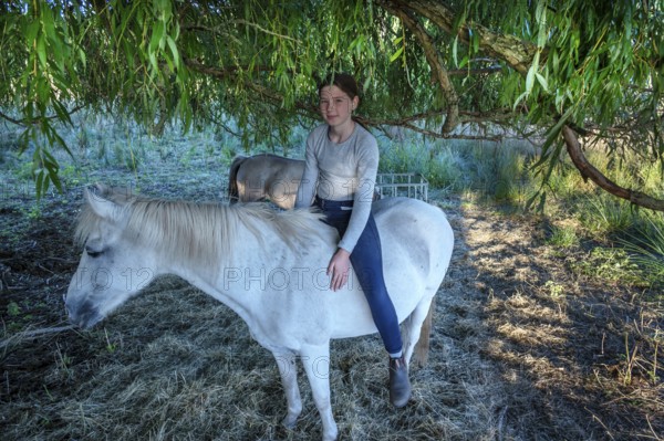 Young girl sitting on her white mare under a willow (Salix), Othenstorf, Mecklenburg-Western Pomerania, Germany