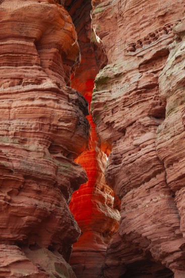 Evening rock glowing in spring at Altschloßfelsen in Eppenbrunn Palatinate, Germany