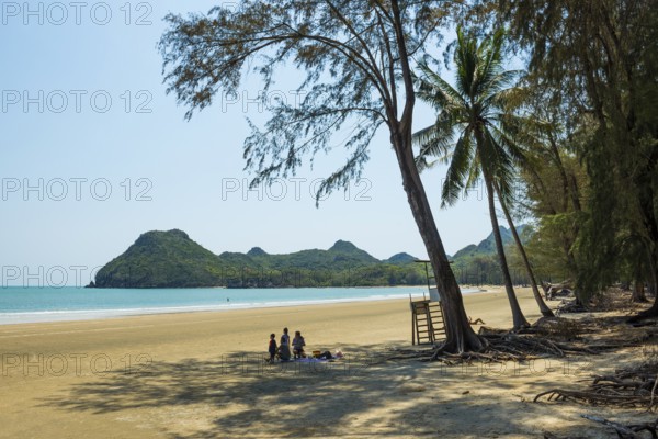 Lonely beach and ironwood trees, Casuarina Equisetifolia, Ao Manao Beach, Prachuap Khiri Khan, Prachuap Khiri Khan Province, Central Thailand, Thailand