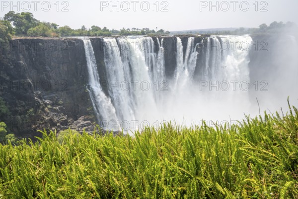 Water plunges into the depths, Victoria Falls with jungle and green plants, Zambezi, Zimbabwe