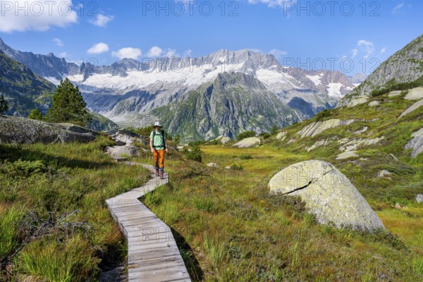 Mountaineers on wooden plank trail through mountain moor, in front of picturesque mountain scenery, Dammastock and Damma glaciers, Göscheneralp, Canton of Uri, Switzerland