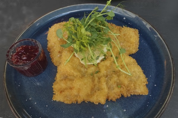 Wiener schnitzel, breaded veal schnitzel, meat dish served on plate, main course, breadcrumbs, salad topping, lemon slice, cranberries, restaurant 1821 Tübingen, restaurant, food photography, Tübingen, Baden-Württemberg, Germany