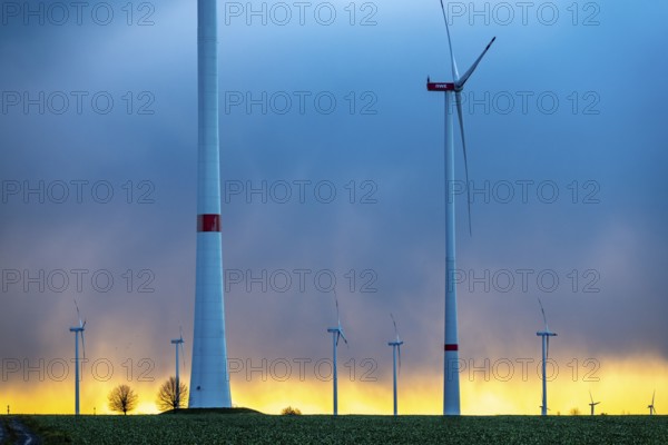 Königshovener Höhe onshore wind farm, on the A44 motorway near Bedburg, in front of the Jackerath triangle, autumn, sunset, recultivated open-cast mining site, Garzweiler open-cast lignite mine, operated by RWE and the city of Bedburg, North Rhine-Westphalia, Germany