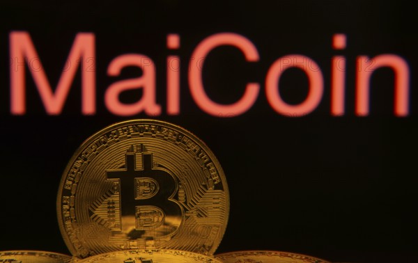 Dhaka, Bangladesh- 03 Sep 2025: Close-up of Bitcoin coins with the MaiCoin logo visible on a screen in the background