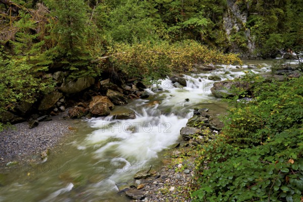 Diosaz mountain river in the gorge, Gorges de la Diosaz, Les Houches, Chamonix-Mont-Blanc, Haute-Savoie, France