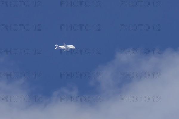 Airbus A330-743L Beluga XL cargo jet aircraft flying in a blue sky with white clouds, England, United Kingdom