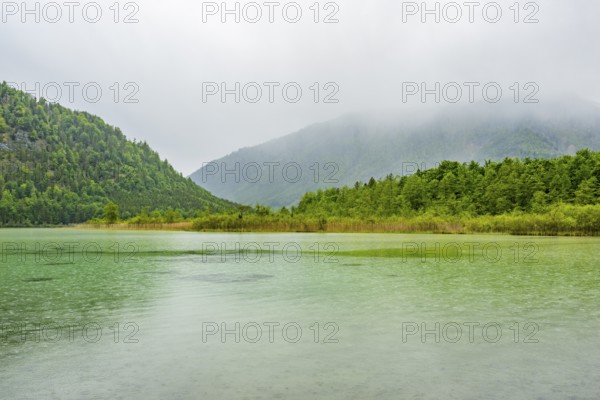 Landscape of Lake Offensee on a rainy day in spring, Salzkammergut, Austria