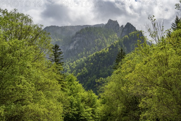 View into the mountains next to Lake Offensee on a rainy day in spring, Salzkammergut, Austria, Europe, Salzkammergut, Austria, Europe