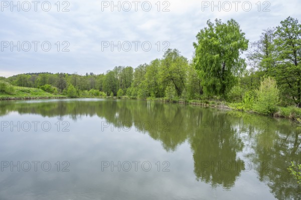 Landscape of a little lake on a cloudy day in spring, Upper Palatinate, Bavaria, Germany