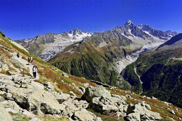 From left front Glacier du Tour back Aiguilles du Tour, right Aiguille du Chardonnet, in front foothills of the Argentière Glacier, Chamonix-Mont-Blanc, Haute-Savoie, France