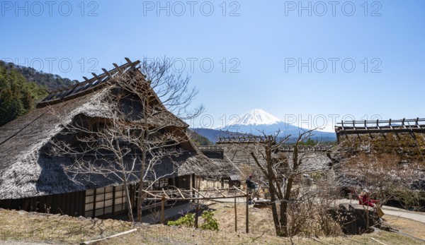 Iyashinosato open-air museum, old Japanese village with traditional houses, at the back volcano Mt. Fuji, Fujikawaguchiko, Saiko, Japón