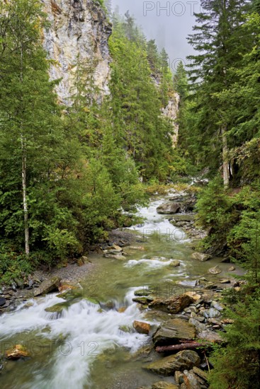 Diosaz mountain river in the gorge, Gorges de la Diosaz, Les Houches, Chamonix-Mont-Blanc, Haute-Savoie, France