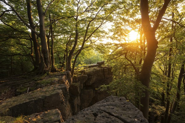 A picturesque sunset bathes the forest and rocky cliffs of the Kanstein in golden light, Thüster Berg, Ith-Hils-Weg, Salzhemmendorf, Lower Saxony, Germany