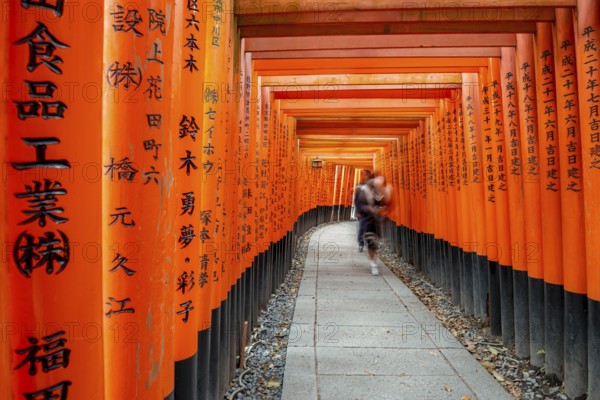 Visitors on a journey through hundreds of red traditional torii gates, Fushimi Inari-taisha, Shinto shrine, long exposure, motion blur, Fushimi Inari-taisha Okusha Hohaisho, Kyoto, Japan