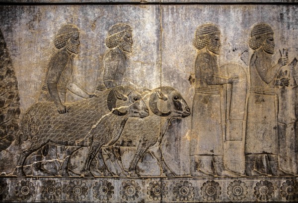 Relief detail of the delegation of peoples bringing gifts to Darius on the stairs of the Apadana Palace, Persepolis