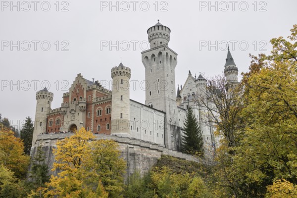 Neuschwanstein in autumn, Schwangau, Füssen, Allgäu, Bavaria, Germany